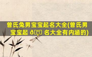 曾氏兔男宝宝起名大全(曾氏男宝宝起 🦆 名大全有内涵的)